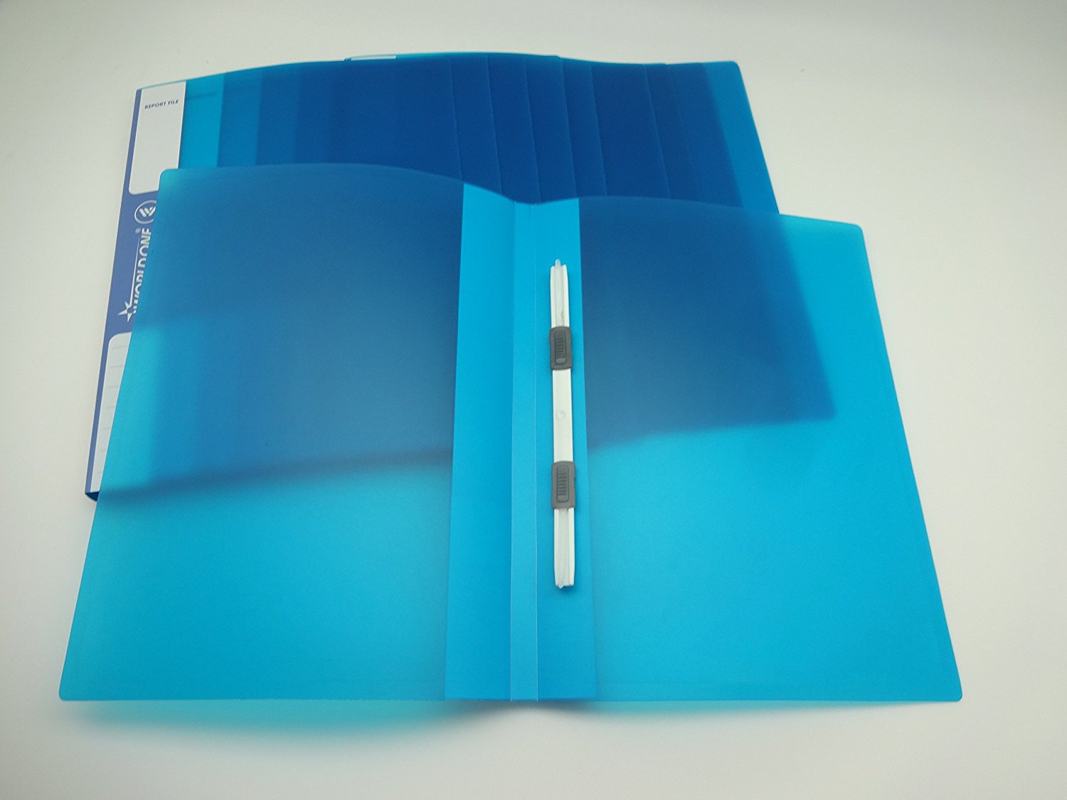 World One Report File